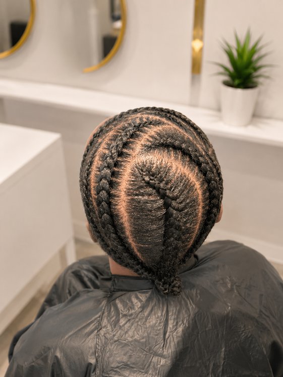 Braided style by Crowned by Aria